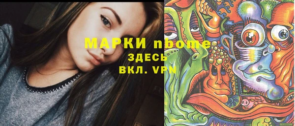 шишки Абаза
