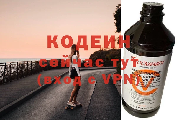 шишки Абаза