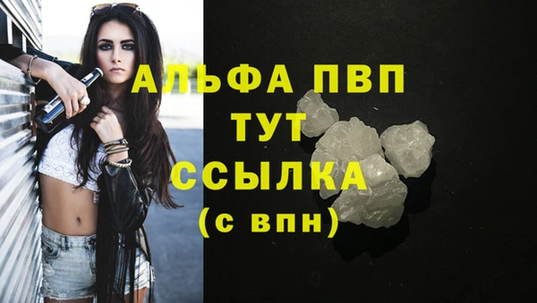 шишки Абаза