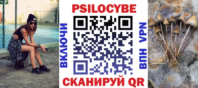 где найти   omg как войти  Псилоцибиновые грибы Psilocybine cubensis  Алзамай 